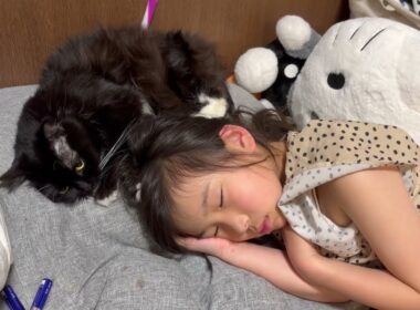 熟睡中なのにモフモフしてる娘と予想外の反撃に出る猫　ラガマフィン