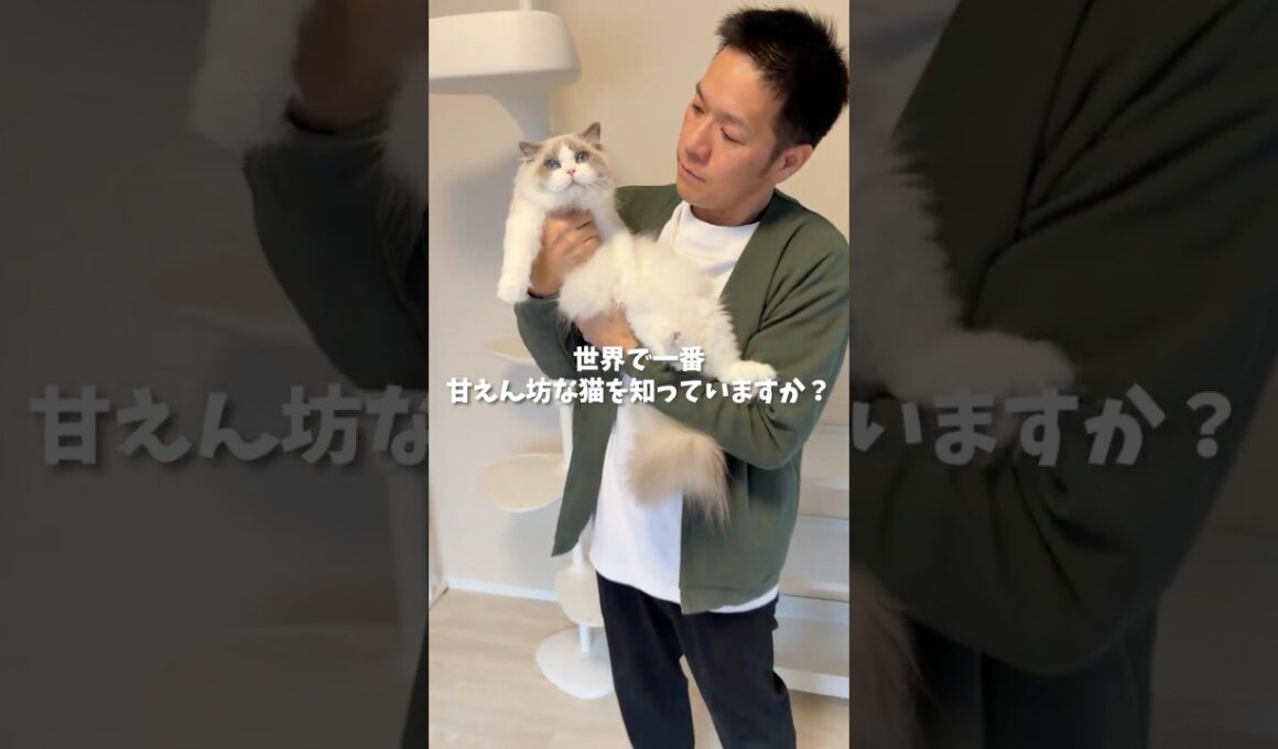 世界で一番甘えん坊な猫を知っていますか？