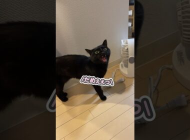 「絶対だめぇっ」と、大好きなパパのことを本気で心配した結果…