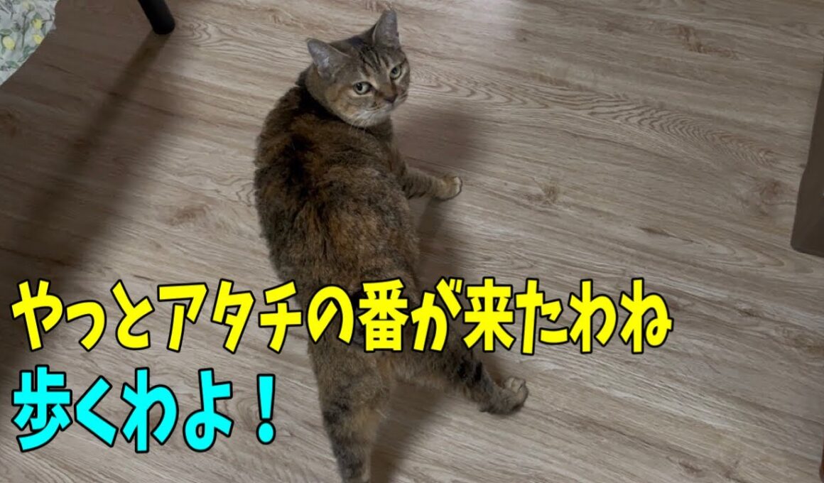 【なじゅDay】久しぶりにカメラを回してみた園長宅