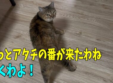 【なじゅDay】久しぶりにカメラを回してみた園長宅