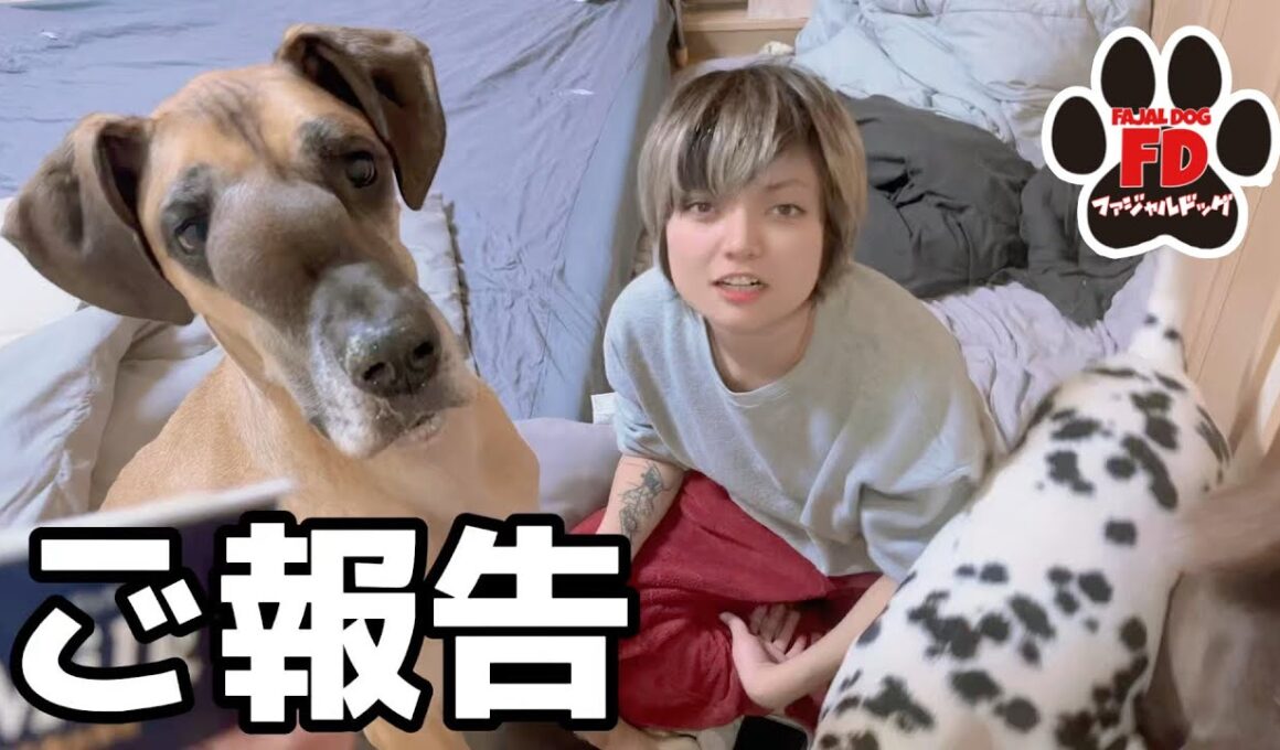 【超大型犬】たったひとり、生後数日の子猫を保護しました