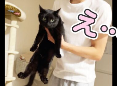 【予想外】え、そんな結末…
