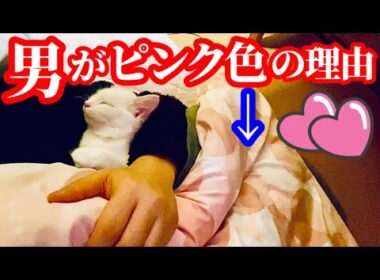 母が旅立ち、入れ替わるように現れた子猫。これは奇跡かもしれません