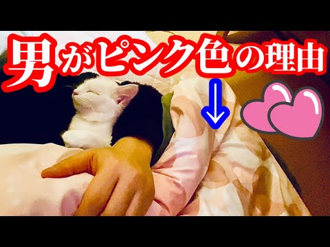 母が旅立ち、入れ替わるように現れた子猫。これは奇跡かもしれません