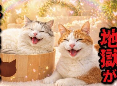 今日から地獄がはじまるよっ！！