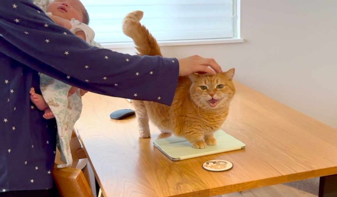 赤ちゃんに対抗して赤ちゃん返りするプリン