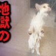 だれか助けてぇぇえぇえええええええええええええええ！！！！！！！