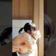 娘と子猫がまるで恋人みたいな距離感でした！ #shorts  #保護猫 #猫のいる暮らし #子ネコ #猫家族 #と猫と娘 #cat