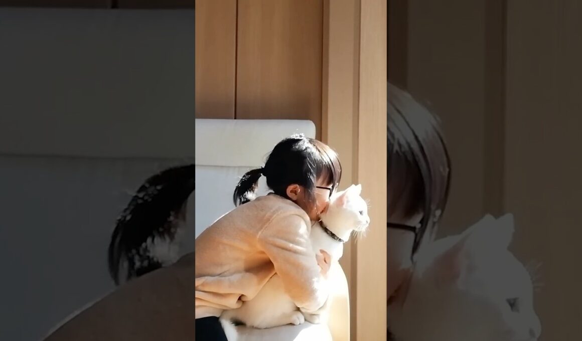 娘と子猫がまるで恋人みたいな距離感でした！ #shorts  #保護猫 #猫のいる暮らし #子ネコ #猫家族 #と猫と娘 #cat