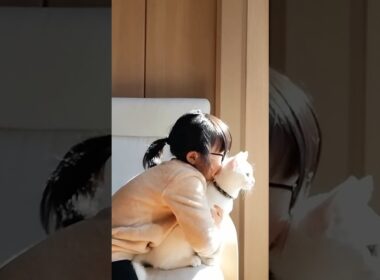 娘と子猫がまるで恋人みたいな距離感でした！ #shorts  #保護猫 #猫のいる暮らし #子ネコ #猫家族 #と猫と娘 #cat