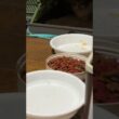 シャム猫のパンダ。新入りのキジシロの子ネコを見つめまくる