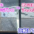 【めだか】巷で話題のシャムミジンコをゲットしたのでオオミジンコと比較してみた。　Ｂ型おやじ　2026年　5月　5日　投稿