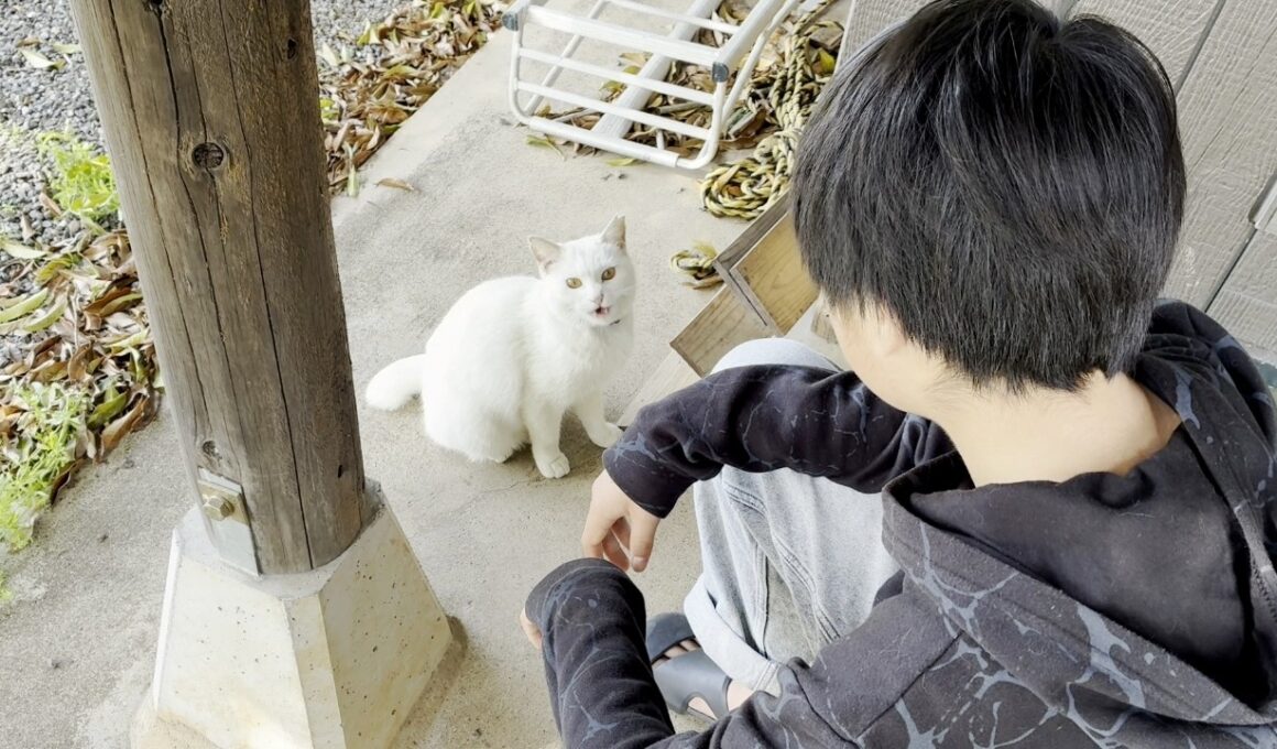 【ベタ惚れ】中学生の息子に惚れてしまった庭子猫ちゃん…笑［三毛母猫の子猫］