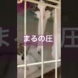 まる何してんの！？ #メインクーンミックス #猫のいる暮らし