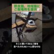 たぬシャム君も棚に登ってくれるのが分かった。