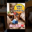 仕事中の飼い主を監視する子猫の圧がスゴイ… #shorts #cat #funny