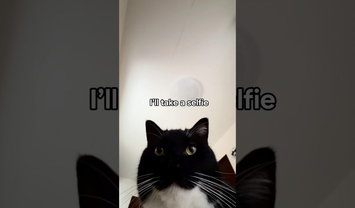 …This is my face?