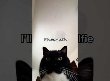…This is my face?