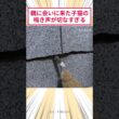 親に会いに来た子猫の鳴き声が切なすぎる #2ch動物スレ #猫動画 #猫のいる暮らし