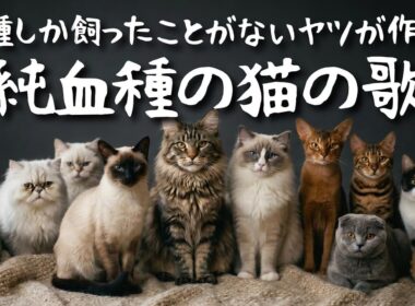 【AI MV】雑種しか飼ったことがないヤツが作った純血種の猫の歌