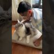 朝少年を送り出す時の大型猫の鳴き声#shorts