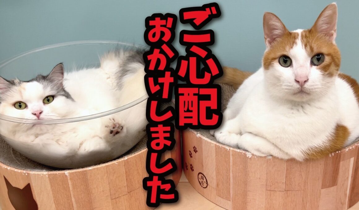 みなさまこの度は大変ご心配をおかけしました…！！
