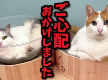 みなさまこの度は大変ご心配をおかけしました…！！