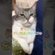 何でいつもオレを置いていくニャ