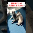 3分後にまさかの展開…