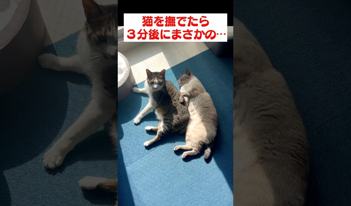 3分後にまさかの展開…
