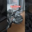 平和な日曜日が一変！？猫たちの兄妹喧嘩！#shorts #猫 #cat #猫のいる暮らし #猫の喧嘩 #アメショ #アメリカンショートヘア #シャー