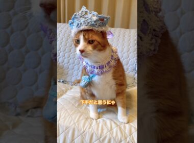 飼い主の歌を聴いた猫が言った言葉は？ #shorts #cat #猫のいる暮らし
