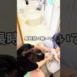 換毛期のしらすは凄い…🐱#ショート