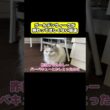 ゴールデンウィークが終わってほしくない猫達　#猫 #おもしろ #アテレコ #ニャンチューバーつくし