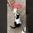 にぃにぃVSジャム。