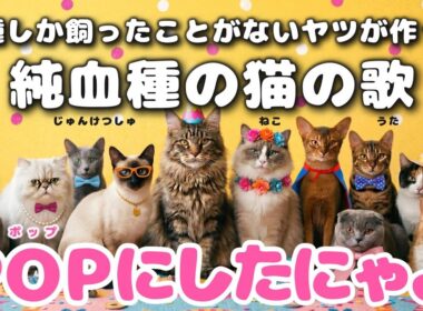 【AI MV】POPにしたにゃよ！雑種しか飼ったことがないヤツが作った純血種の猫の歌／ふりがな付き／猫ずかん