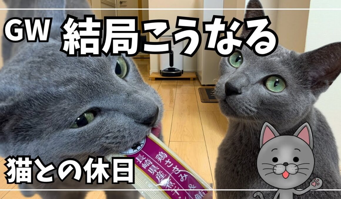 GW、猫と過ごした結果こうなりました