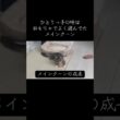 すっかりおじさんにメインクーン #cat #猫のいる暮らし #猫動画 #メインクーン #shorts