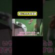 罠にかかる猫達　#猫 #おもしろ #アテレコ #ニャンチューバーつくし