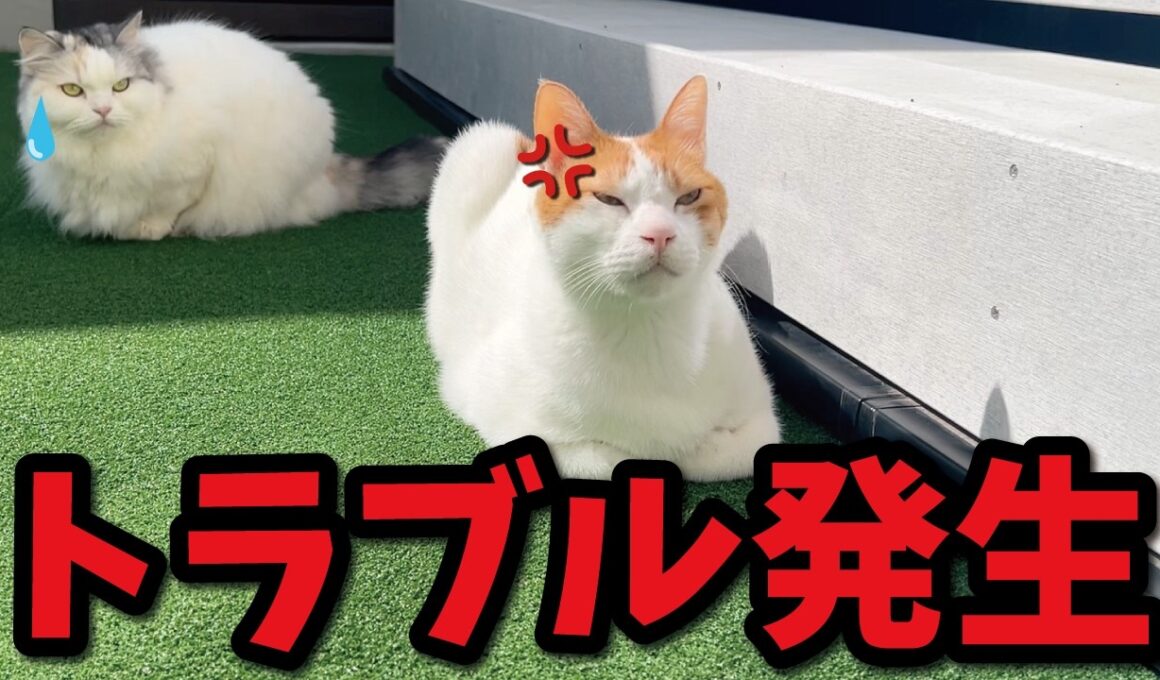 ちょっと予期せぬ困ったトラブルが発生してしまいました…