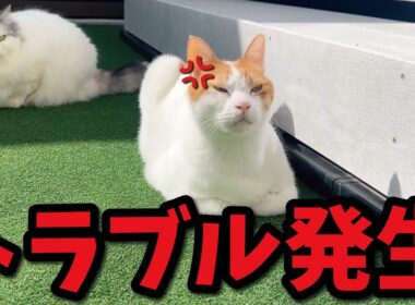 ちょっと予期せぬ困ったトラブルが発生してしまいました…