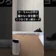 なんとか構いたい母 #cat #にゃんグラム #セルカークレックス #猫のいる暮らし #にゃんたチャンネル #ブリティッシュショートヘア