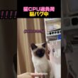 指マジックで大混乱ｗ