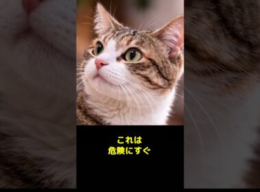 ネコはなぜすぐ起きる？熟睡しない理由