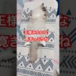 【anela】寛ぎっぷりが王様みたいなラグドール猫#猫 #shorts
