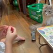 チカバルーンができるのをじっと待つ猫　サイベリアン