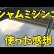 【めだか】シャムミジンコはやっぱり最強なのか！？