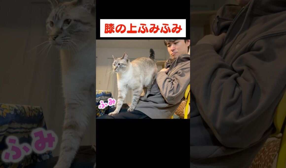 地味にめっちゃ嬉しいやつ