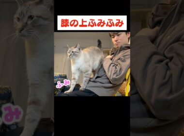 地味にめっちゃ嬉しいやつ